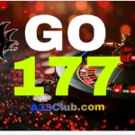 GO177 Game